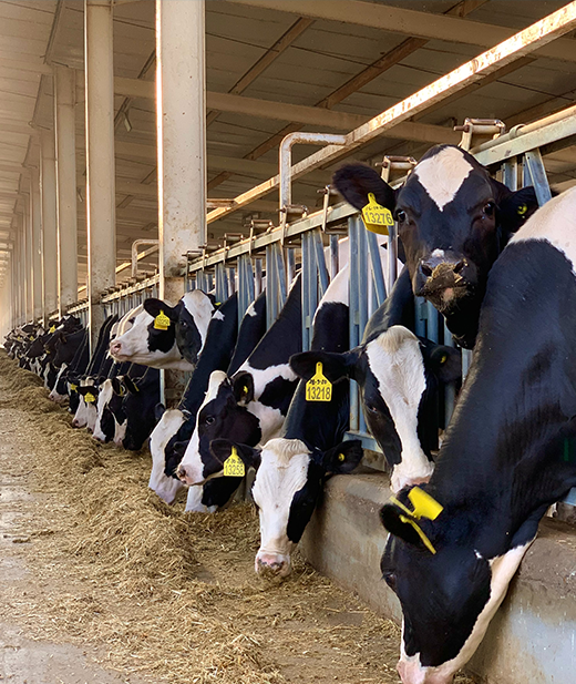 お肉販売への想い
